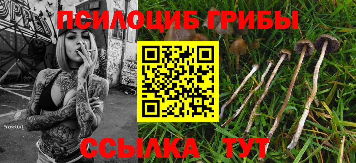 Псилоцибиновые грибы GOLDEN TEACHER  Псилоцибиновые грибы мицелий  Вход с VPN  Десногорск 