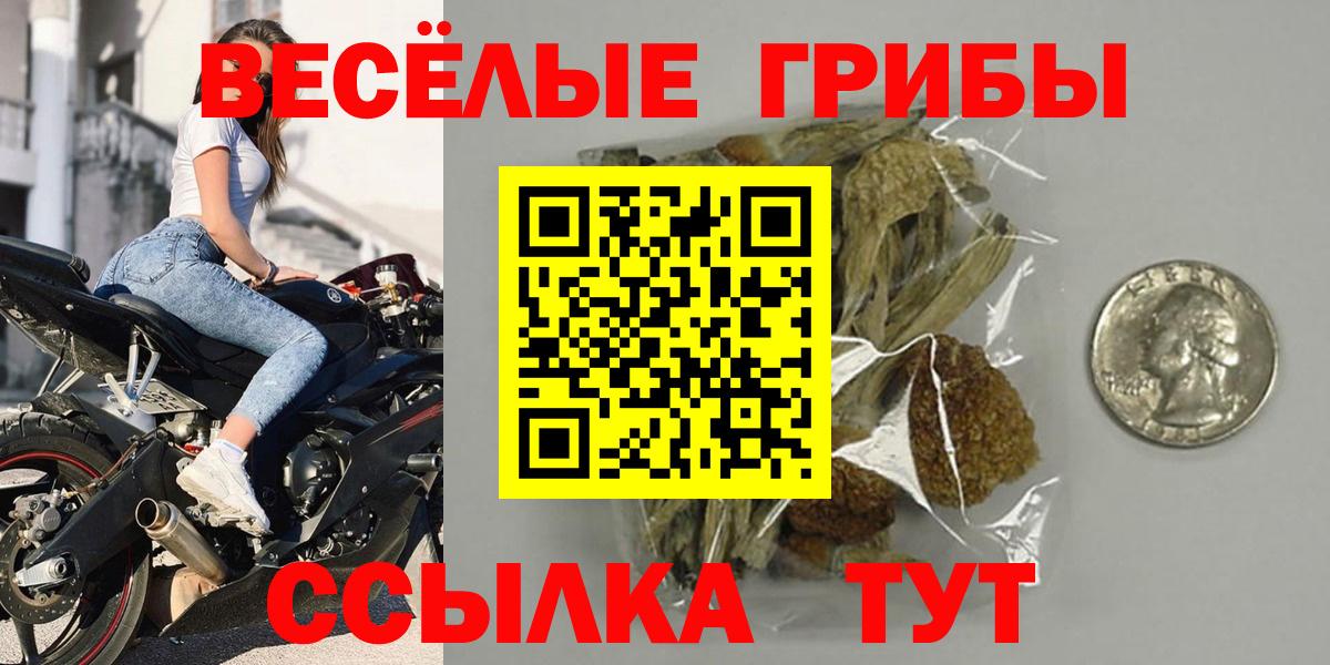 Галлюциногенные грибы Psilocybe Десногорск
